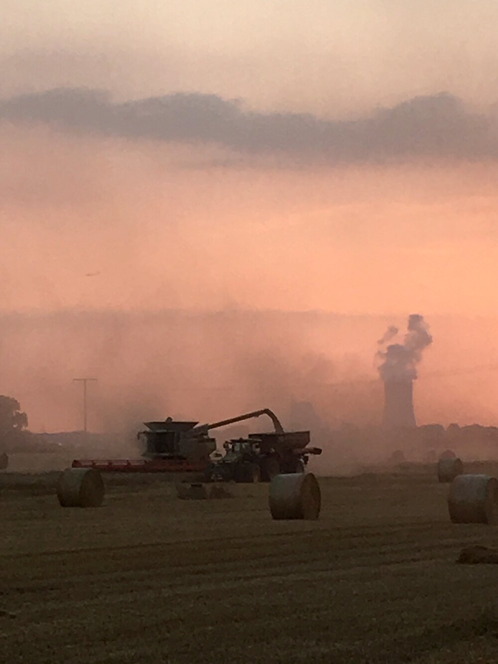 IMG_3641